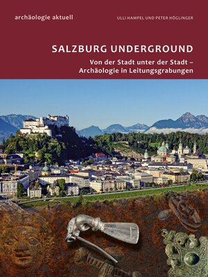 cover image of Archäologie aktuell Band 5